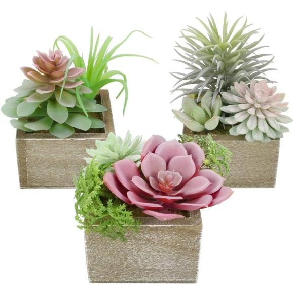 Artificial Succulents Plants, Mini Assorted Green Faux Succulents in Pots, Small - Picture 6 of 6